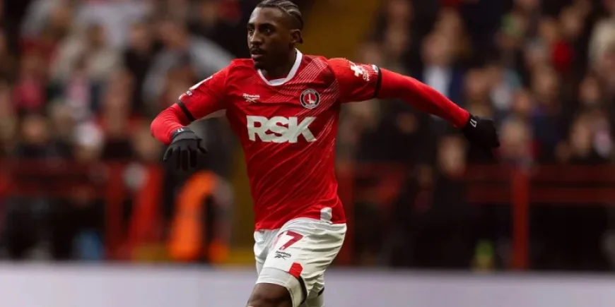 Notts County Fc at the Heart of Jamaica’s Play-off Drama: One Loan Star and an Addicks Trio