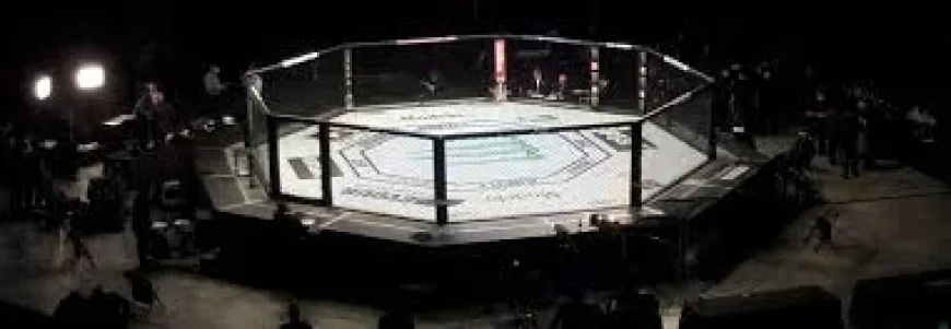 UFC Fight Night London prediction: Luke Riley vs. Michael Aswell Jr.