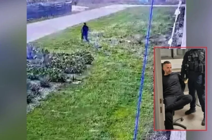 Corsica in Contrast: Classroom Diplomacy and a Confession That Reverberates Across the Sea