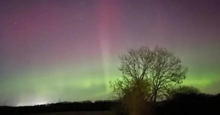 Aurora Borealis Forecast: Why March Equinox Lights Draw People to Dark Parks