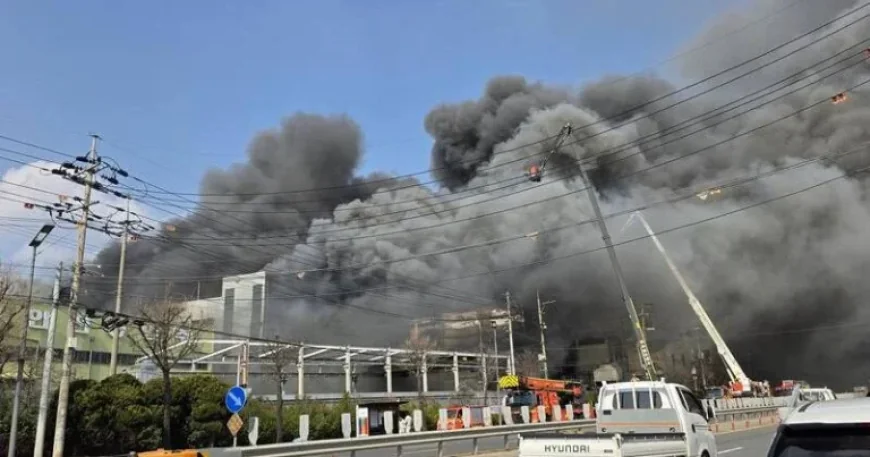 Tenterfield: Conflicting Death Toll and Chemical Risks Reverberate After Daejeon Factory Blaze