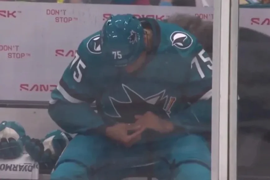 Ryan Reaves: Dislocated Pinky in Early Fight, Returns Briefly and Sits Out — What the Incident Conceals