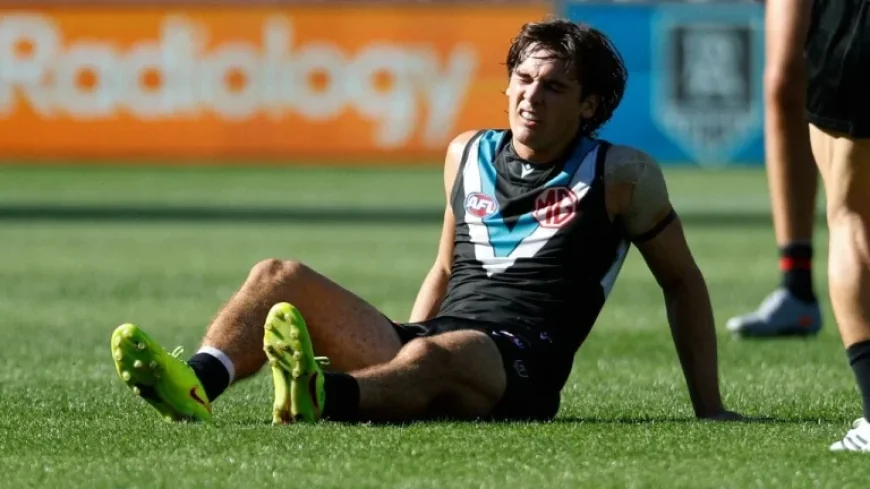 West Coast Vs North Melbourne: 63-Point Shock in Adelaide and a Skipper’s Leg Blow That Rewrites the Round