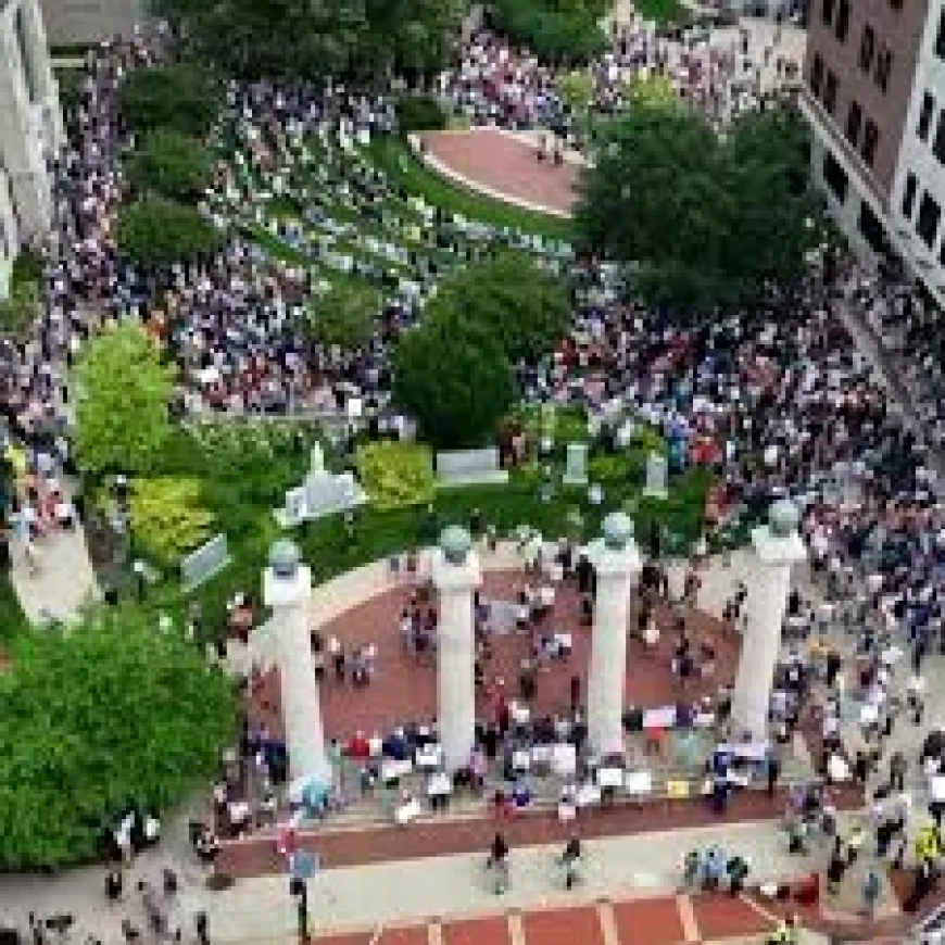 No Kings Protest Near Me: A Search for March 28 Rallies Runs Into a Digital Wall