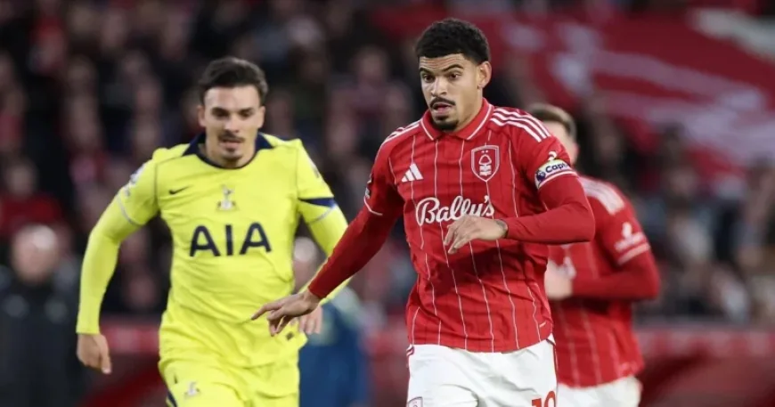 Morgan Gibbs White and Spurs’ What-If: 5 Transfers That Could Have Rewritten Tottenham’s Season