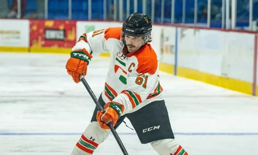 Uqtr Hockey: Patriotes’ Revenge Over Reds Reveals Clear Path to Sixth National Title