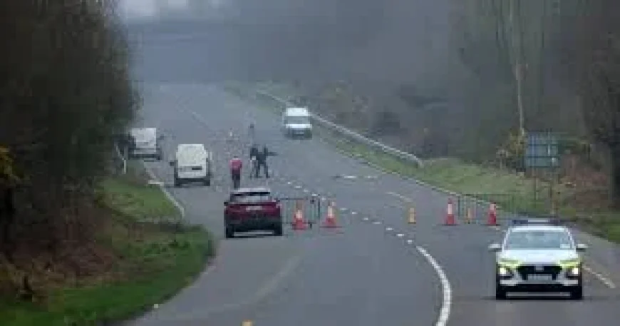 Scarlett Faulkner Limerick: Roadside assault in Birdhill leaves young woman critically injured