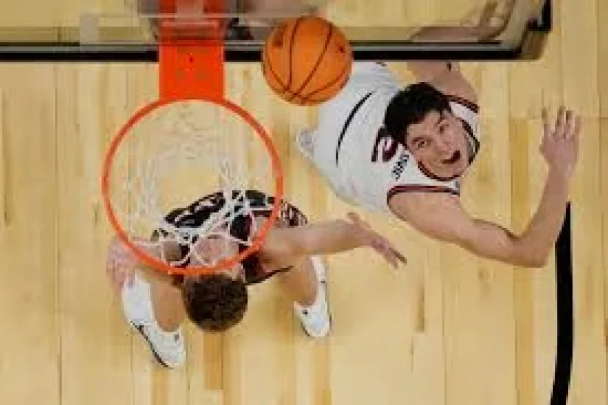 Clark Kellogg and the March Madness inflection point: Andrej Stojaković’s Illinois breakout after a season of change