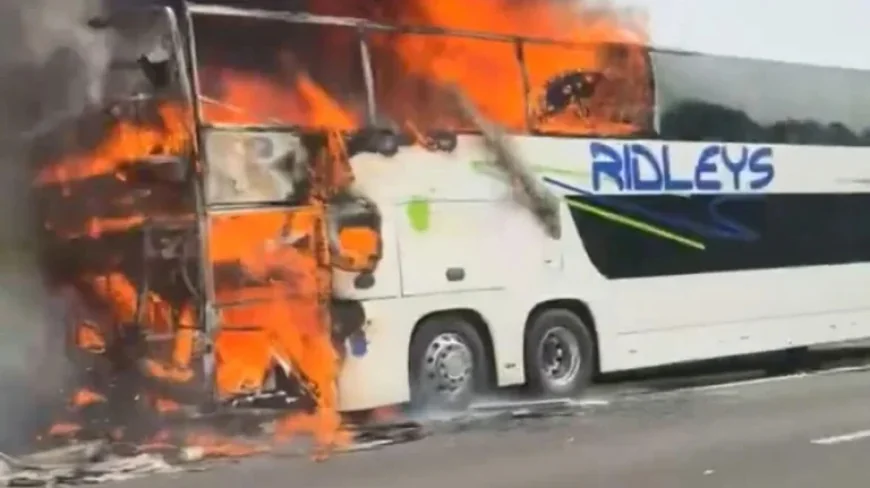 Coach Fire M6: Two-Hour Halt Sparks Carabao Cup Travel Chaos for Manchester City Fans