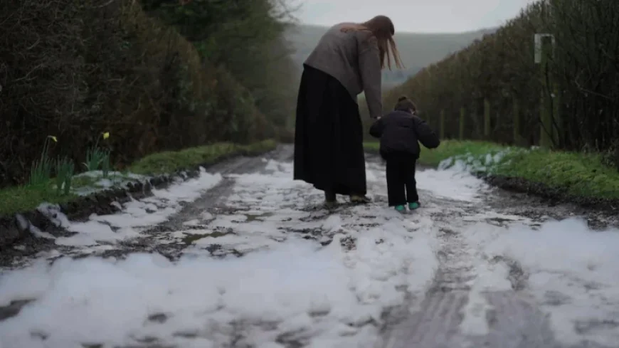 Bentham Blood Tests Reveal Shocking Forever-Chemicals Toll — One in Four in Highest Risk Group