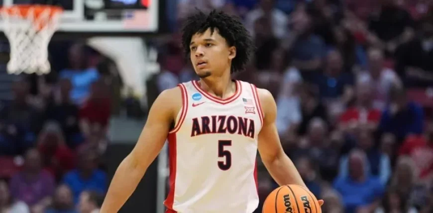 Arizona Basketball: 5 Things Wildcats Fans Should Know About Utah State