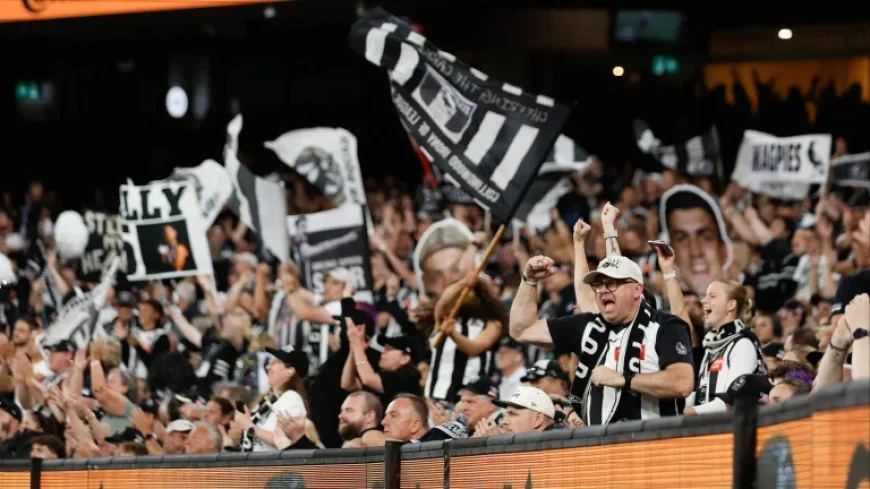 Marvel Stadium: Collingwood to lower ticket prices ahead of Round 3
