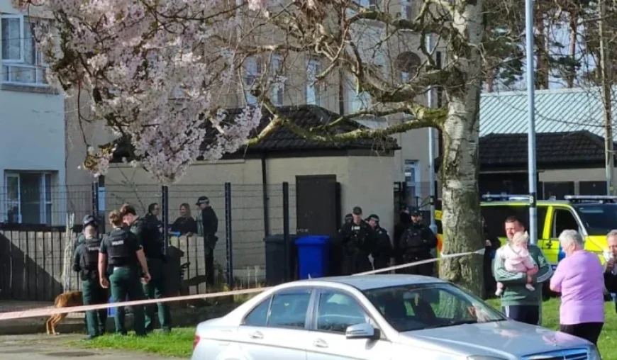 Belfast Live: 2 Arrested After Limavady Standoff Ends With Taser Deployment