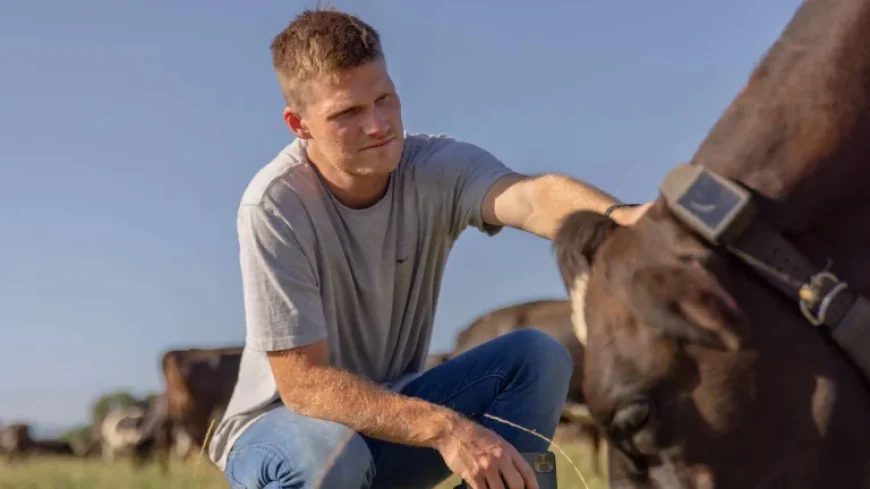 Peter Thiel and the Halter Raise: A Kiwi Agritech Valuation That Doubles