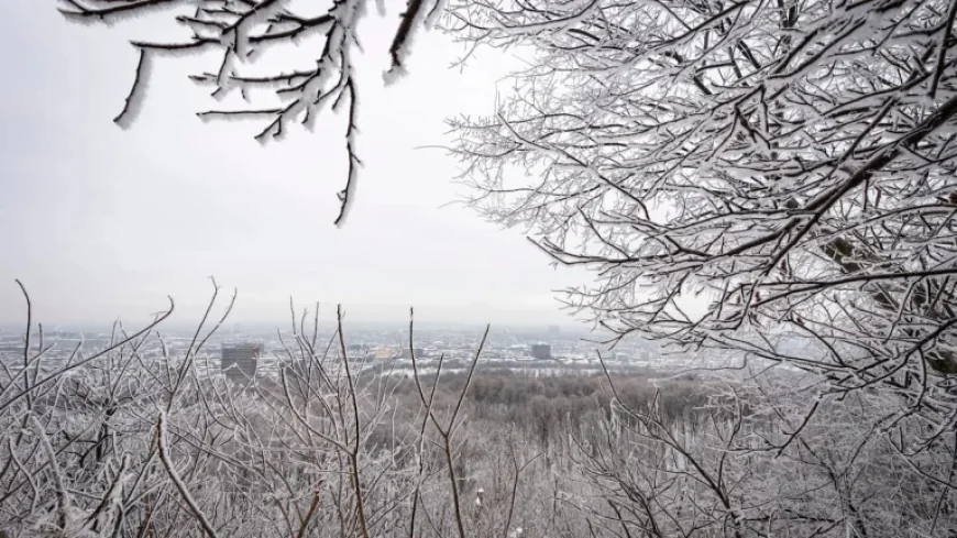 Building Faster: The Affordable Housing Challenge in Quebec