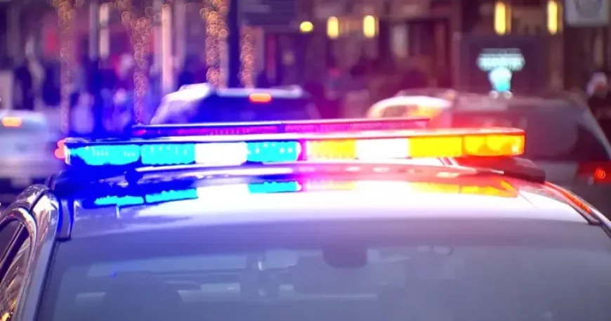 Dayton Webber and the Night a Backyard Became a Crime Scene