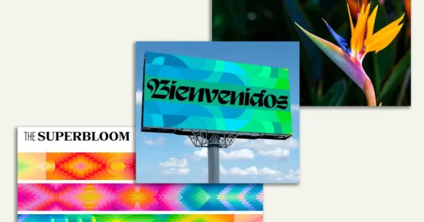 LA28 Reveals Floral-Inspired Visual Identity for 2028 Olympics