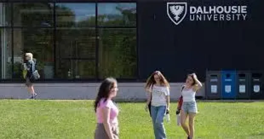 International Students program ‘fell short’ — auditor general reveals thousands of uninvestigated flags