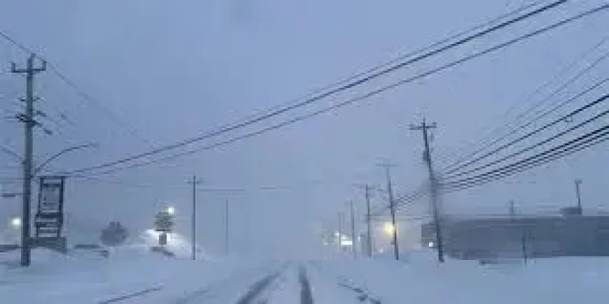 Avalon Peninsula Spring Snowstorm as Late-Season Blast Heads In