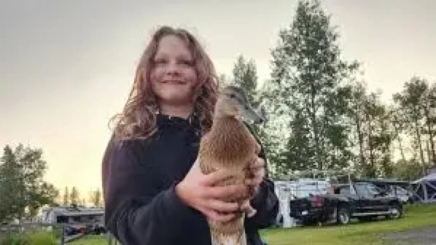 Maya Gebala surgery setback as fourth procedure postponed