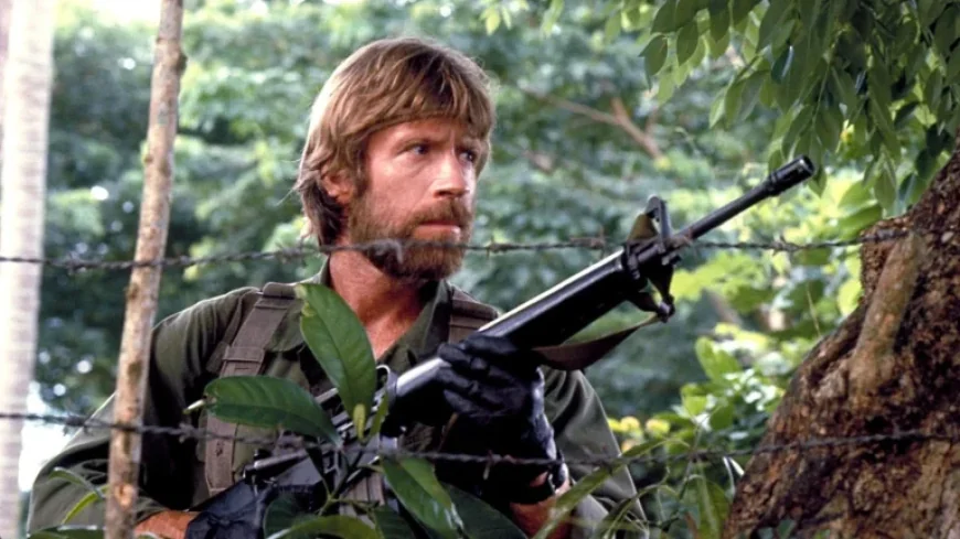 Chuck Norris: Pioneering Influence on the Manosphere