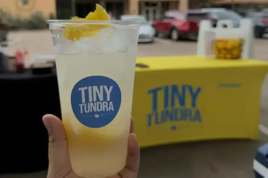 New Caney: Tiny Tundra Snowcones Targets an April Opening on FM 1314