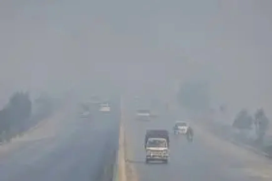 Tonga Earthquake after the latest 6.3 magnitude report: What it means now and what to watch next