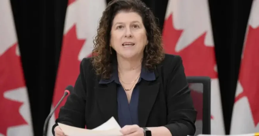 Auditor General International Students: Audit Reveals 153,000 Flags but Only 2,000 Probes Funded