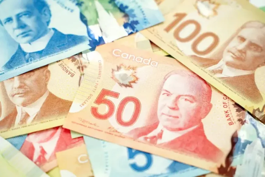 Oas Payment Dates 2026: March Deposits and an April Adjustment Mark an Inflection Point