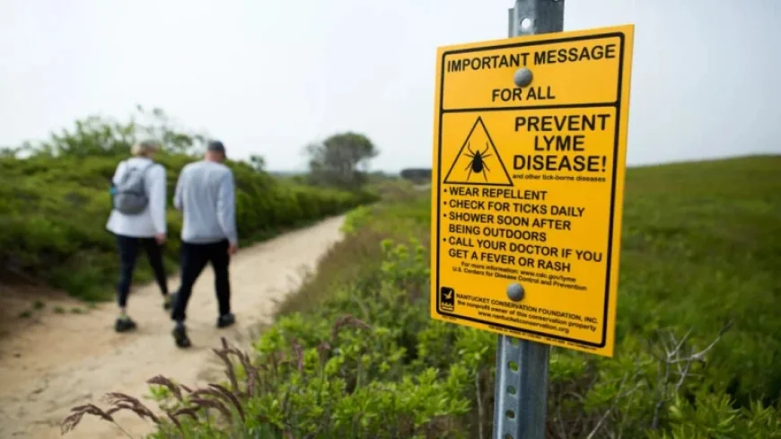 Study Shows Lyme Disease Vaccine Cuts Risk by Over 70%