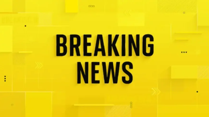 Girlguiding deadline exposed: Transgender girls told to leave by September — what changes and why it matters