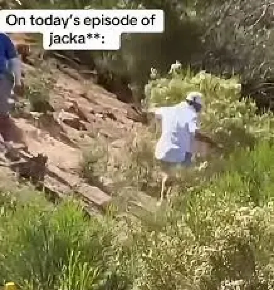 John Daly Falls Down Hill: The viral ‘Jackass’ moment that tested golf’s safety margins