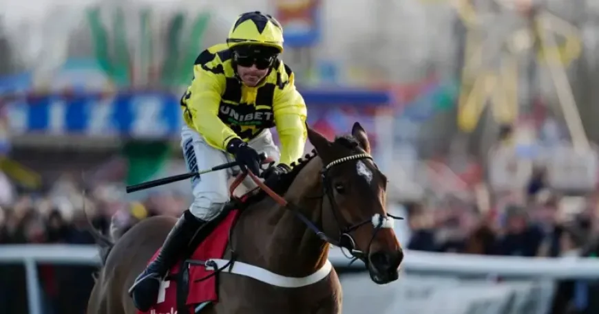 Sir Gino: Trainer Nicky Henderson Announces Star Hurdler Put Down in Heartbreaking Loss