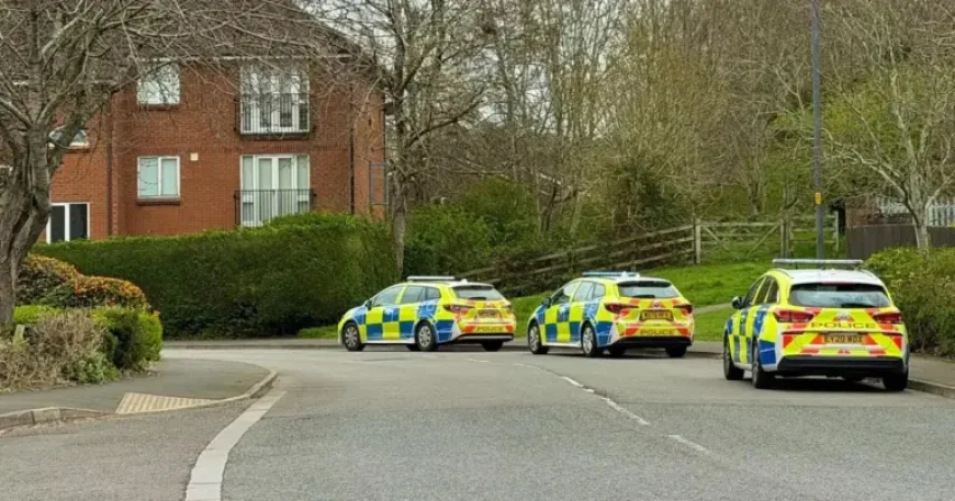 Bristol Live: Three Local Incidents Expose Cost, Capacity and Community Strains