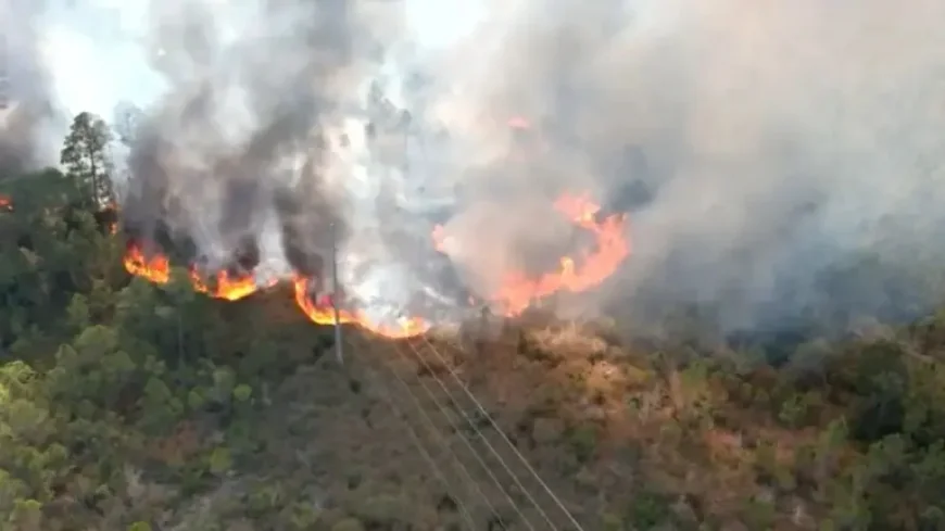 Gulf Shores Fire: 3 Closures, Evacuations, and a Key Test of Local Response