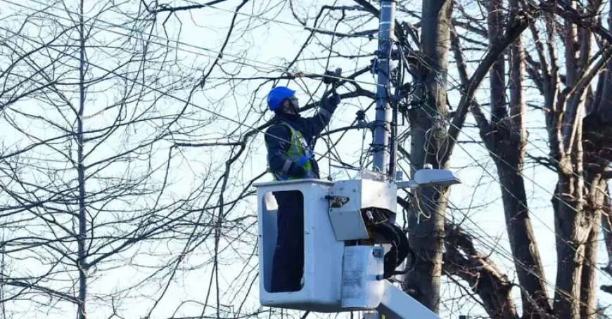 Esb profits down by 10% after Storm Éowyn: a rural repair story