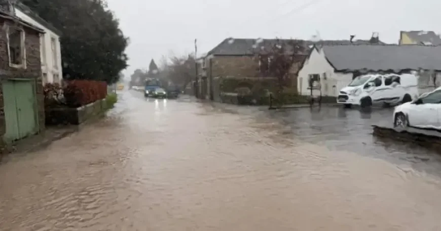 Northern Rail cancellations escalate as flood alerts spread across Cumbria — what commuters need to know