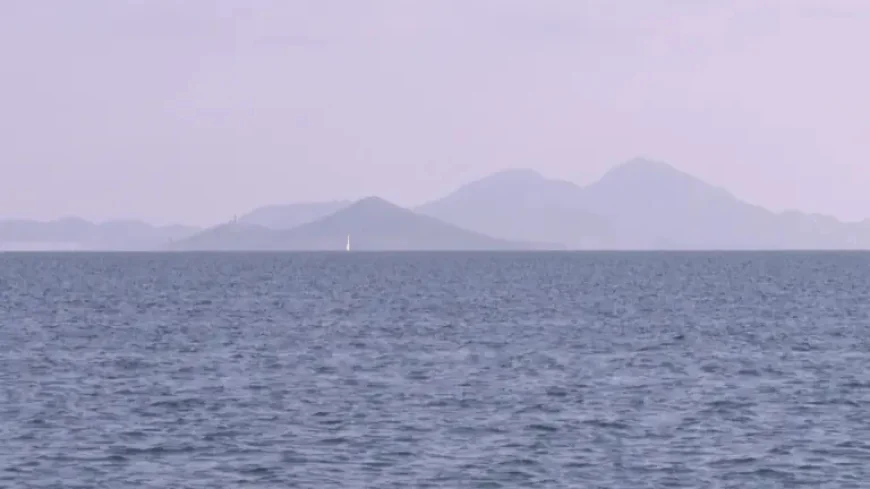 Mar Menor: Theft of 1,000 Oysters Deals an Incalculable Blow to Four-Year Scientific Project