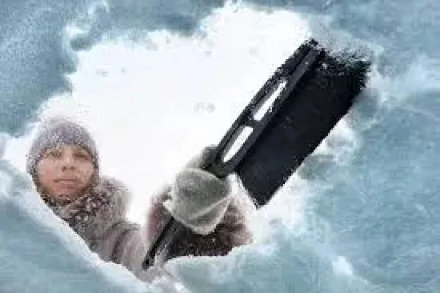 Weather Calgary: Three Days of Snow, Wind and a Clearing Trend by Mar 26