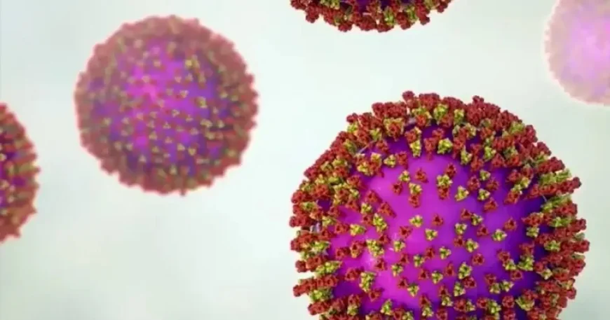 Measles in Washtenaw County: 7 Cases, One Exposure Site, and a Narrow Window to Act