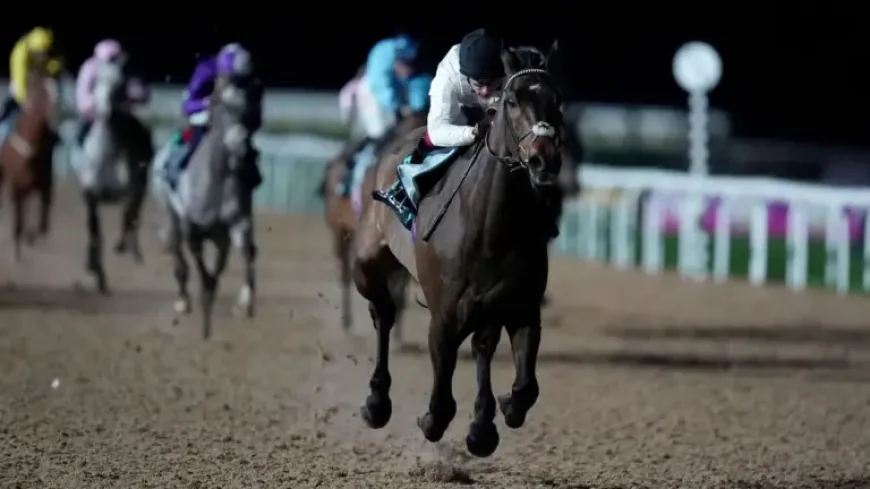 Constitution Hill takes the next step on his Flat journey at Kempton – with new elite ally Ryan Moore key to plotting future