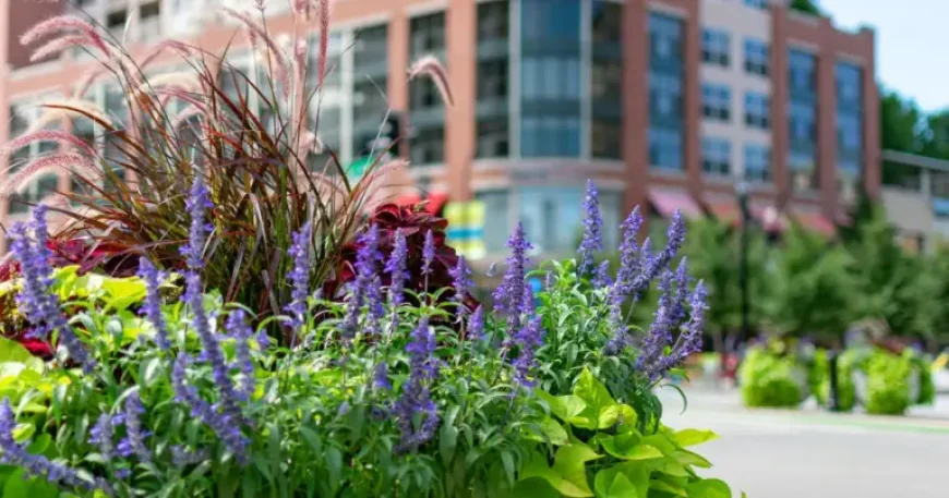 Northwestern University backs ‘Hop Around Evanston’ as spring shuttle pilot reaches local businesses