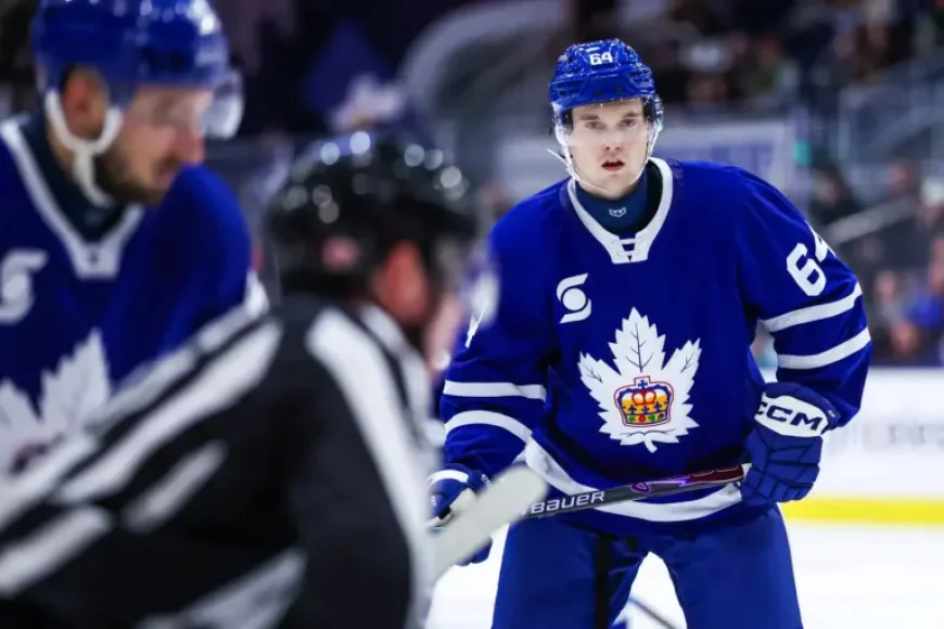 Ahl Scores: Landon Sim’s first AHL goal helps Marlies top Wolf Pack 6-3