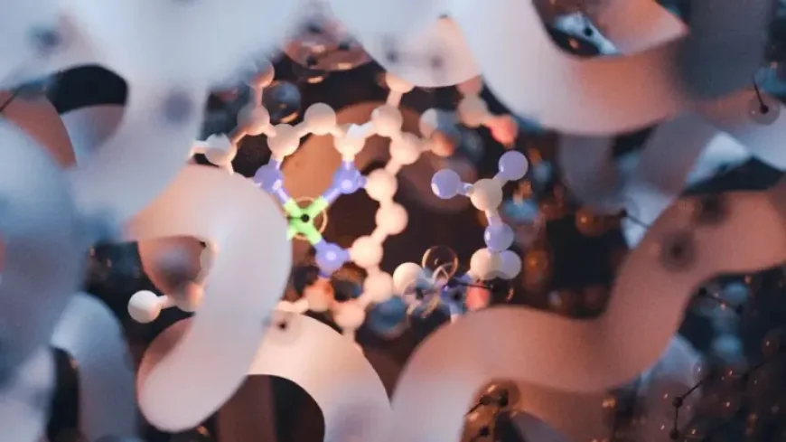 After 60 Years, Diabetes Drug Affects Brain: New Study Reveals a Direct Neural Pathway