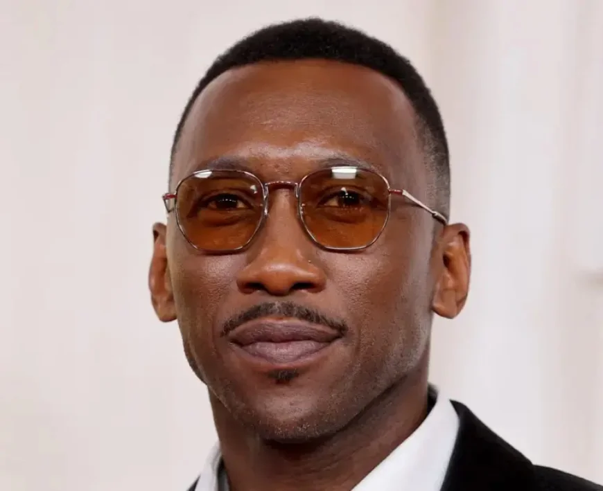 Mahershala Ali Joins ‘Task’ Season 2 at HBO — True Detective Alum Boards New Run