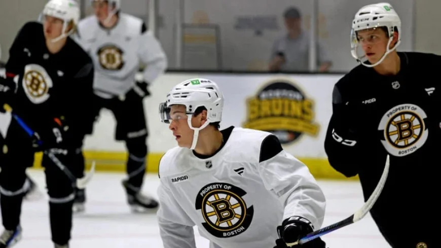 James Hagens Shines in P-Bruins Pro Debut Performance