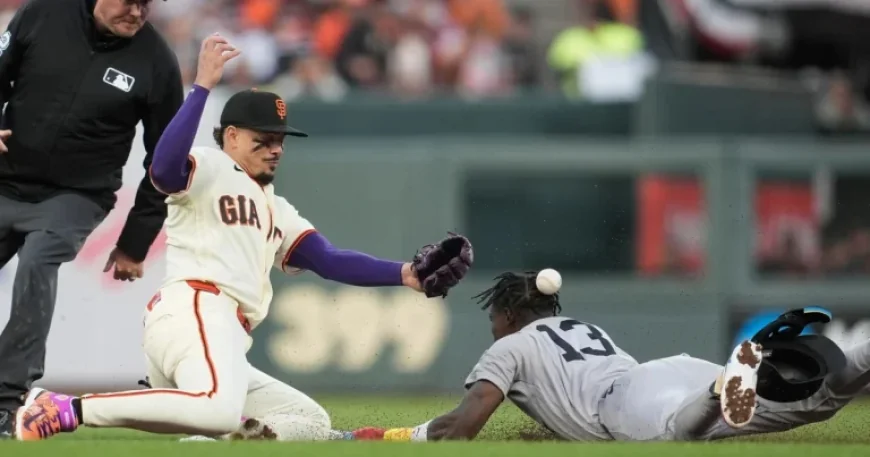 Tony Vitello Era Falters Amid Giants’ Netflix Debacle