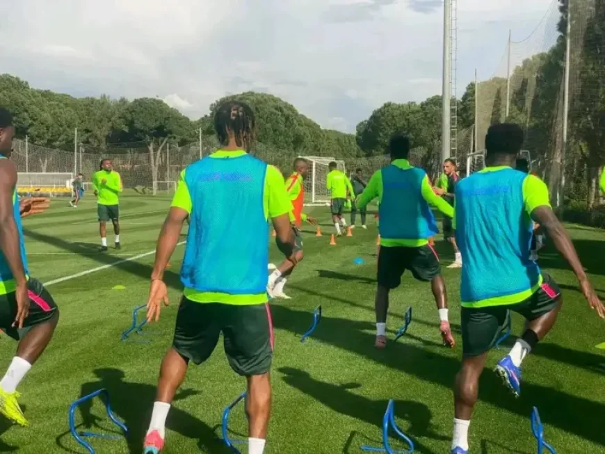 Friendlies: Super Eagles Camp Complete as Ndidi Arrives, Bassey Ruled Out — What It Means for Friday’s Match