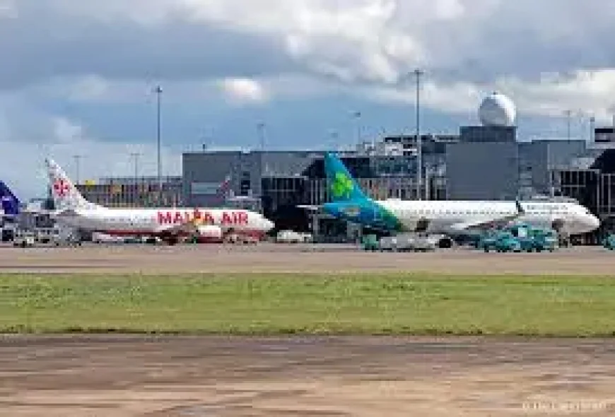 Brazil: Eight arrested after brutal capybara beating exposes the city’s fraught relationship with urban wildlife