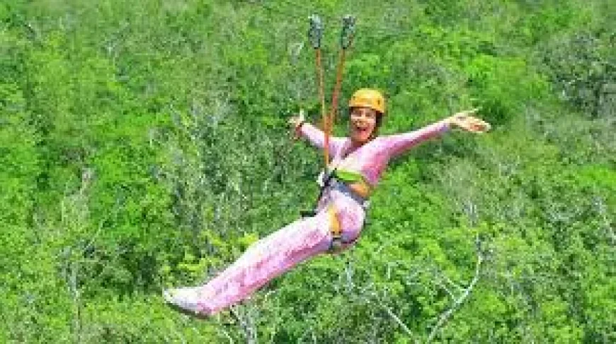 ‘Housebound’ benefit cheat caught ziplining in Mexico — Catherine Wieland Benefits case laid bare